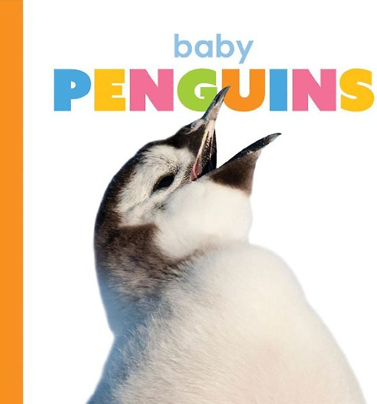 Baby Penguins