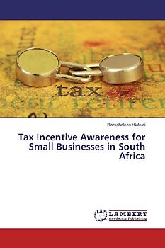 Tax Incentive Awareness for Small Businesses in South Africa