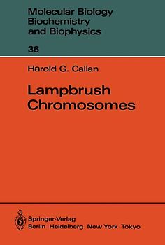 Lampbrush Chromosomes