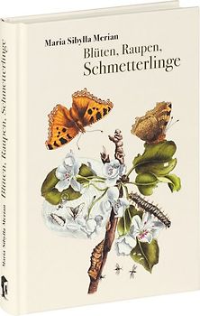 Blüten, Raupen, Schmetterlinge