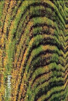 Jörg Heieck, lauterland