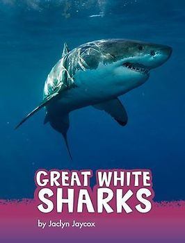 Great White Sharks