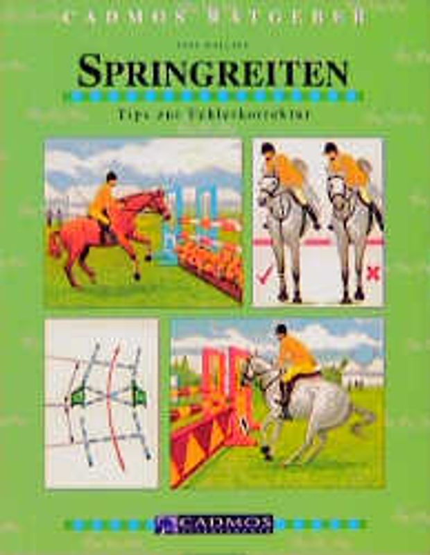 Springreiten. Lösungen für typische Probleme