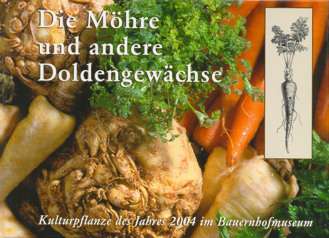 Die Möhre und andere Doldengewächse