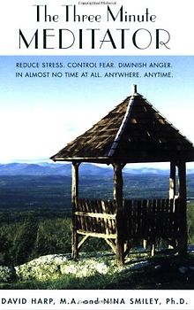 The Three Minute Meditator