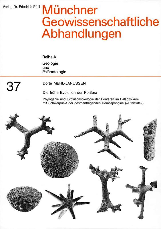 Die frühe Evolution der Porifera