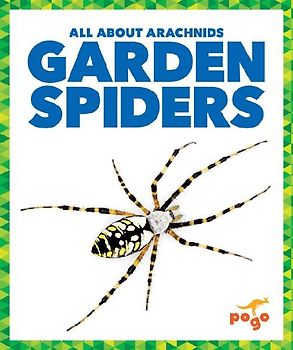 Garden Spiders