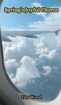 Spring's Joyful Chorus