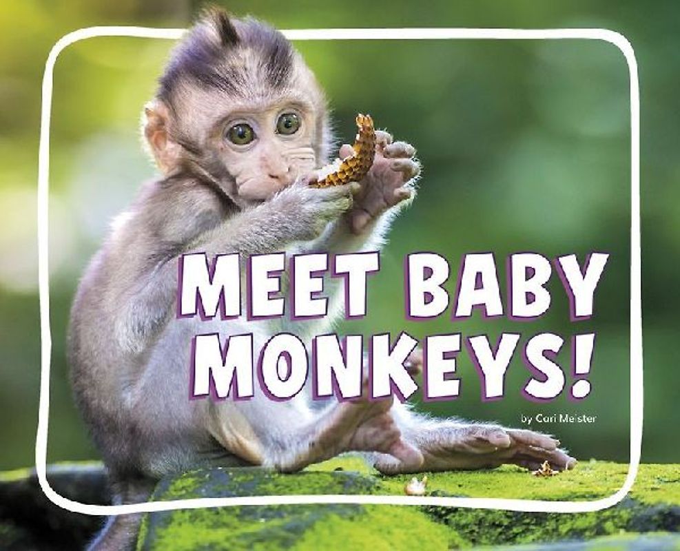 Meet Baby Monkeys!