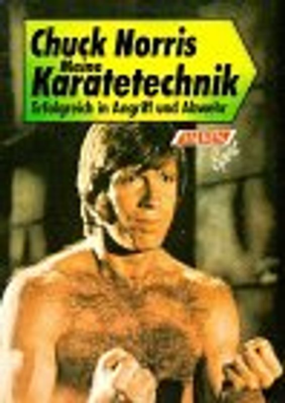 Meine Karatetechnik. Erfolgreich in Angriff und Abwehr