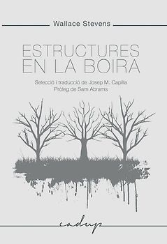 Estructures en la boira