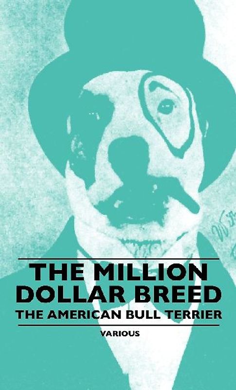 The Million Dollar Breed - The American Bull Terrier