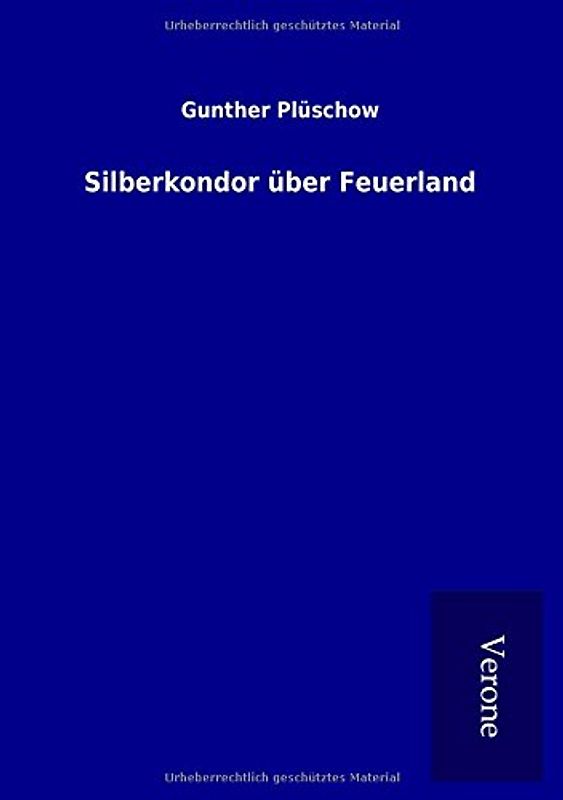 Silberkondor über Feuerland