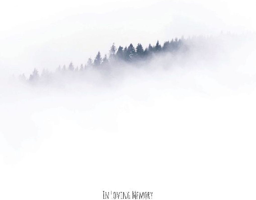 In Loving Memory Funeral Guest Book, Celebration of Life, Wake, Loss, Love, Memorial Service, Condolence Book, Funeral Home, Church, Thoughts and In Memory Guest Book (Hardback)