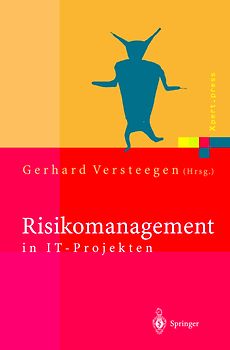 Risikomanagement in IT-Projekten