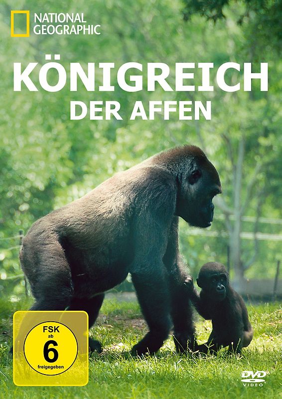 National Geographic - Königreich der Affen DVD