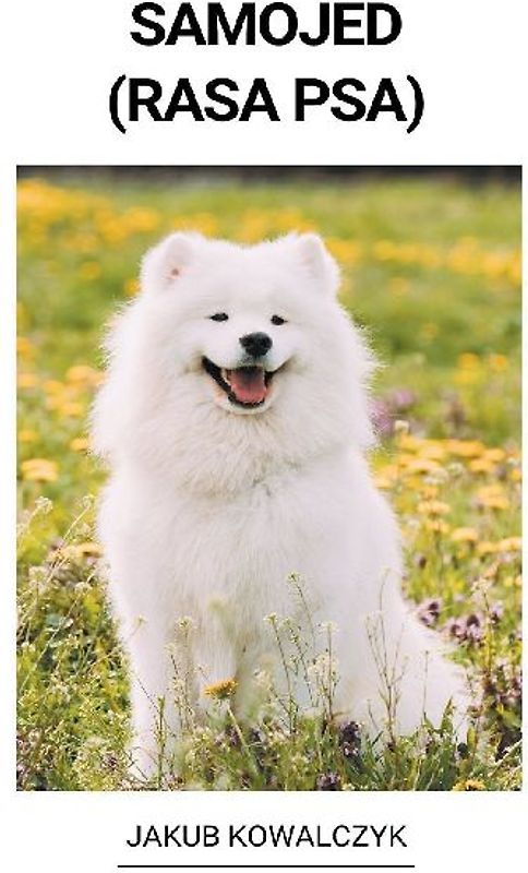 Samojed (Rasa Psa)