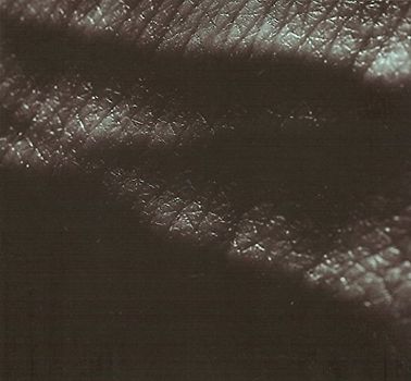 Jk Flesh - Posthuman