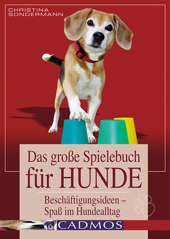 Das große Spielebuch für Hunde