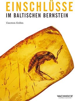 Einschlüsse im baltischen Bernstein