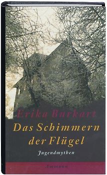 Das Schimmern der Flügel