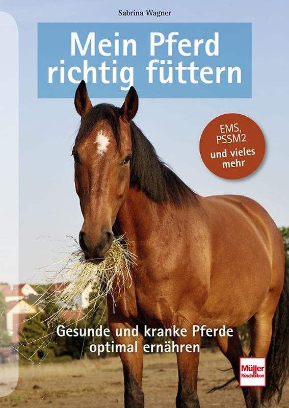 Mein Pferd richtig füttern