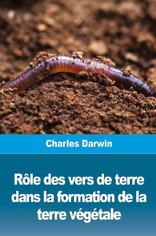 Rôle des vers de terre dans la formation de la terre végétale