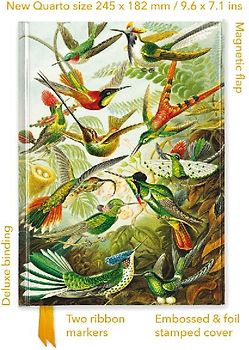 Ernst Haeckel: Hummingbirds (Foiled Quarto Journal)