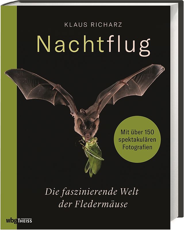Nachtflug