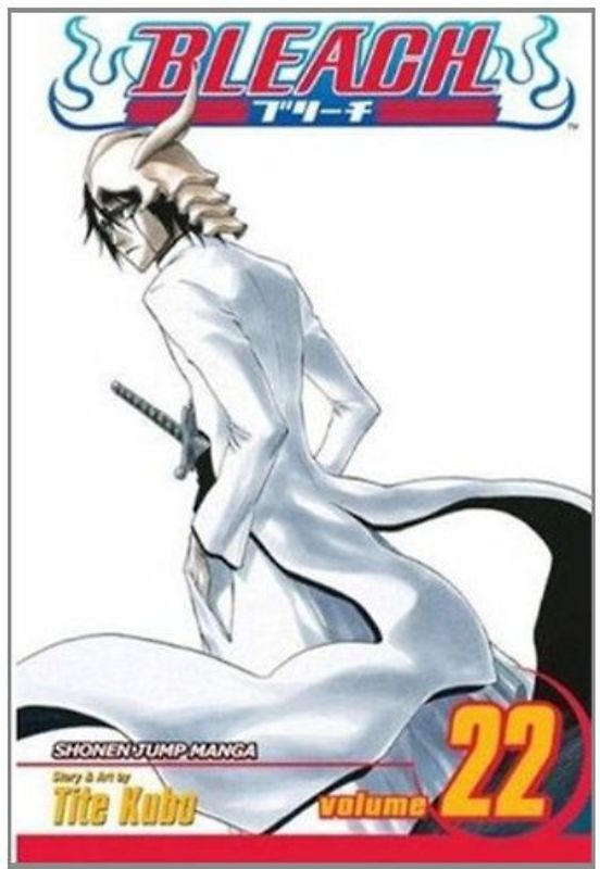 Bleach, Vol. 22: v. 22 - Tite Kubo