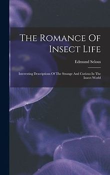 The Romance Of Insect Life