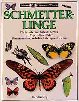 Schmetterlinge