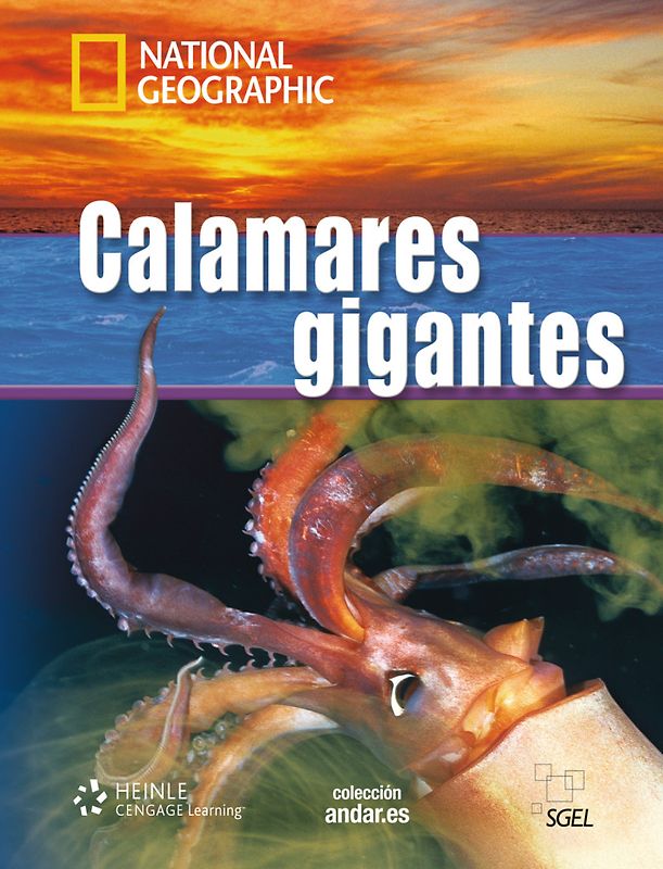 Calamares gigantes