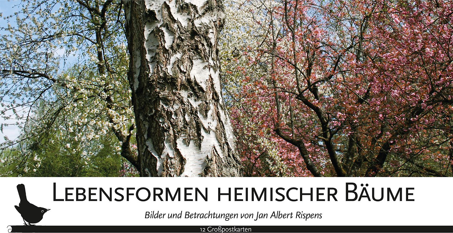 Kartenset Lebensformen heimischer Bäume
