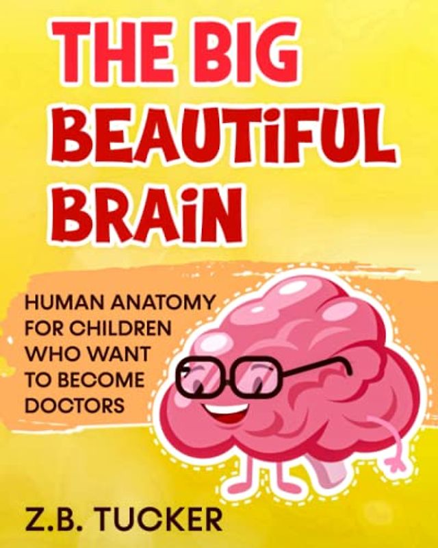 The Big Beautiful Brain: Neuroscience For Kids: Human Anatomy For Children Who Want To Become Doctors