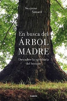 En busca del Árbol Madre: descubre la sabiduría del bosque