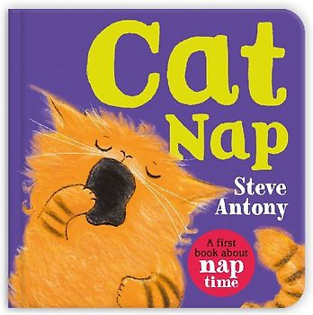 Cat Nap