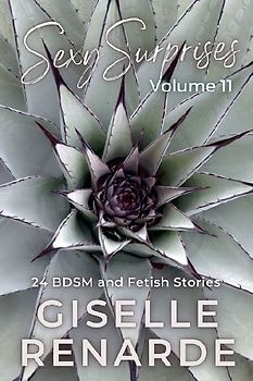 Sexy Surprises Volume 11