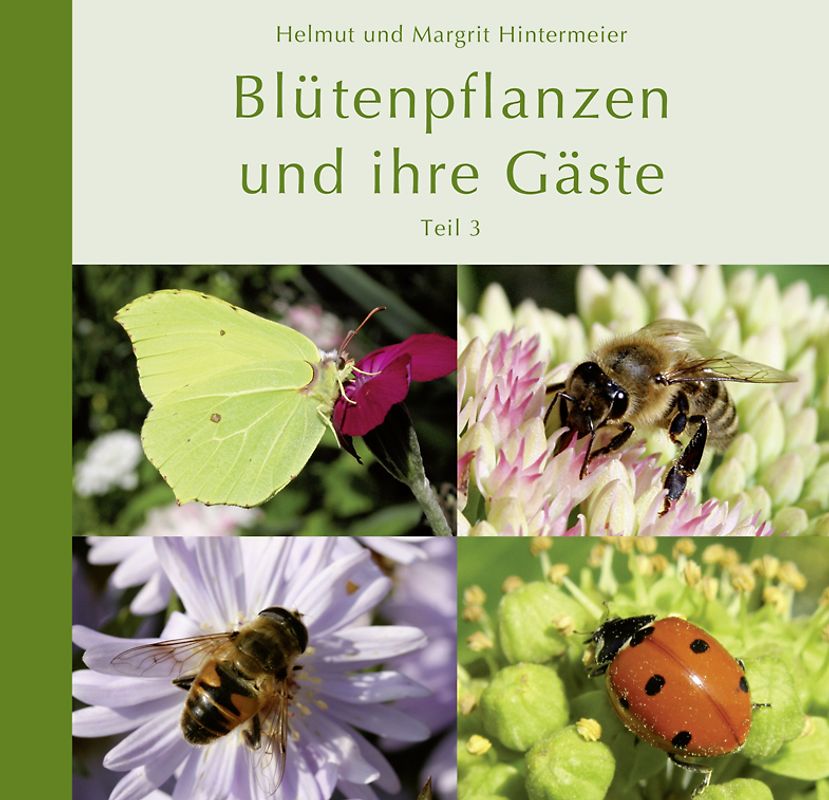 Blütenpflanzen und ihre Gäste (Teil 3)