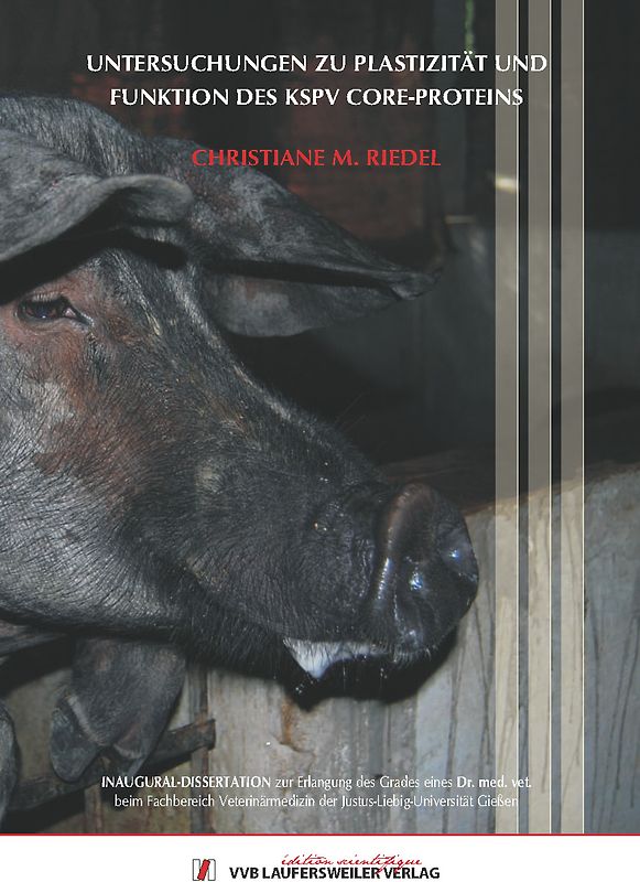 Untersuchungen zu Plastizität und Funktion des KSPV Core-Proteins