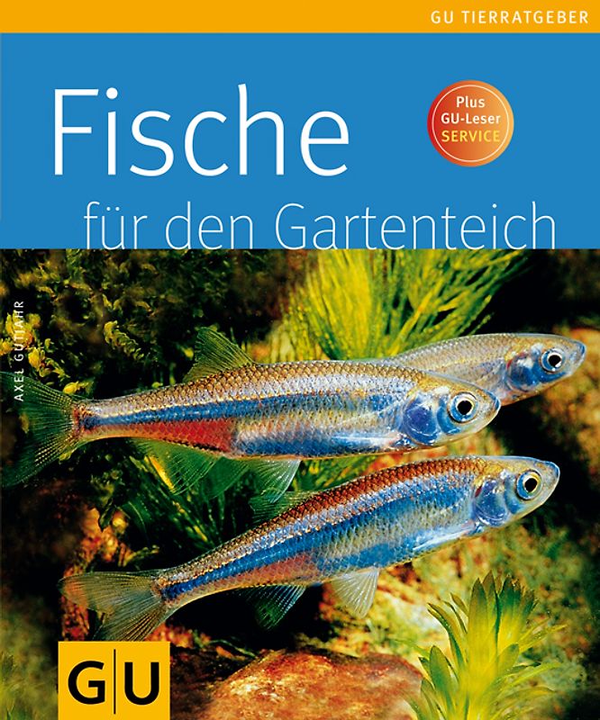 Fische für den Gartenteich