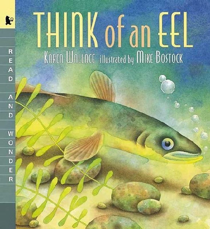 Think of an Eel: Big Book