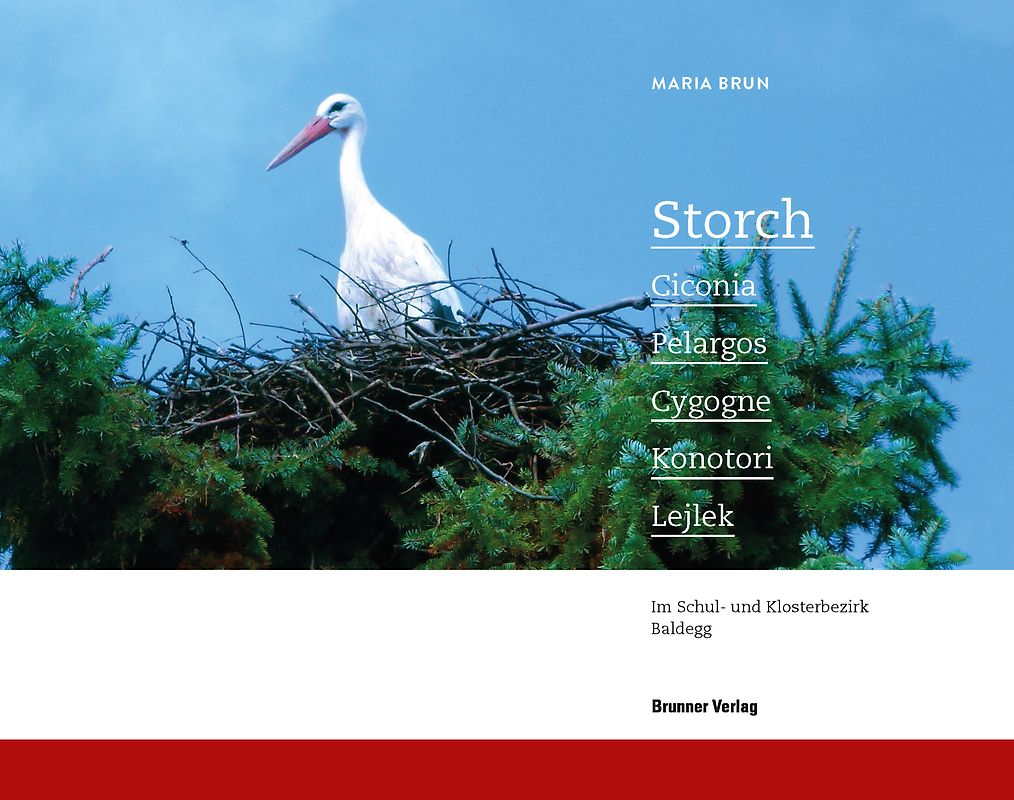 Storch, Ciconia, Pelargos, Cigogne, Konotori, Lejlek