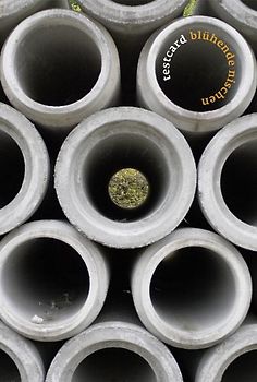 testcard #19: Blühende Nischen