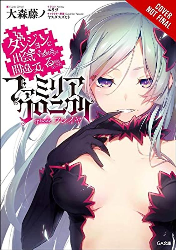 Is It Wrong to Try to Pick Up Girls in a Dungeon? Familia Chronicle, Vol. 2 (Light Novel)
