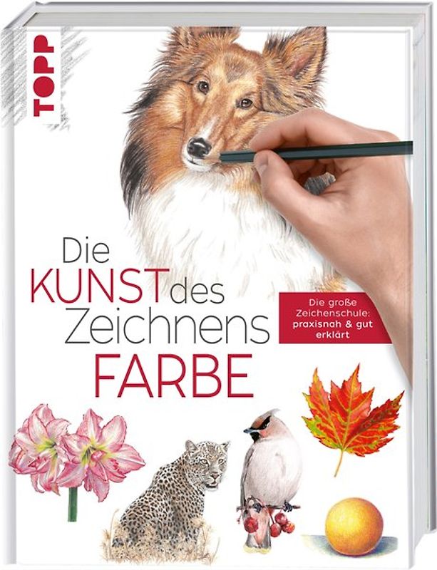 Die Kunst des Zeichnens - Farbe