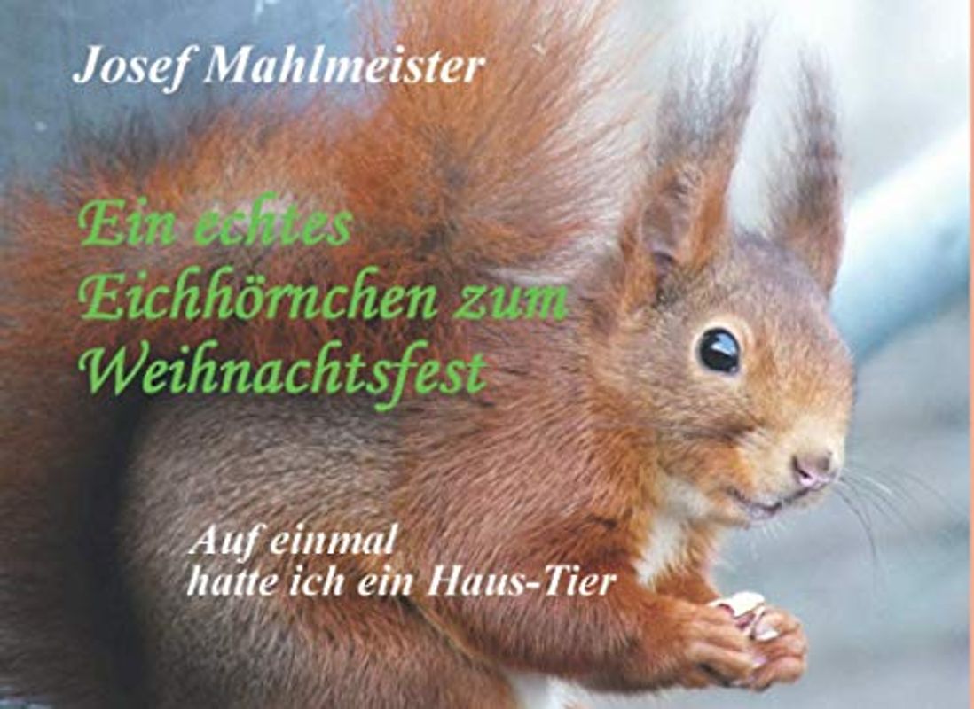 Ein echtes Eichhörnchen zum Weihnachtsfest: Auf einmal hatte ich ein Haus-Tier