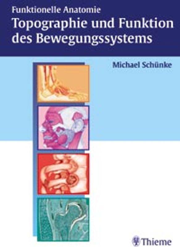 Funktionelle Anatomie