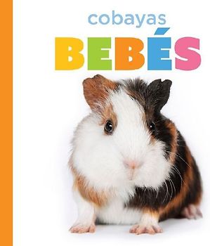 Cobayas Bebés