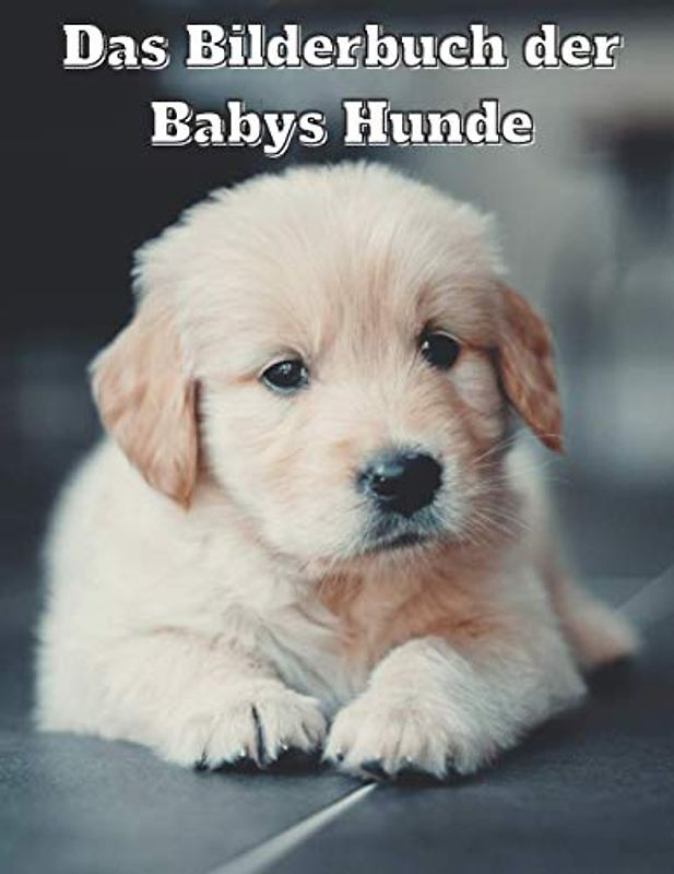 Das Bilderbuch der Babys Hunde: Bilderbuch von Babys Hunde für Senioren mit Demenz [Süße Bilderbücher].